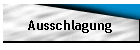 Ausschlagung