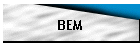 BEM
