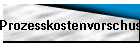 Prozesskostenvorschuss